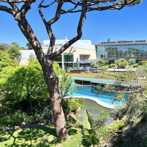 Martinhal Cascais: een droomplek voor de eerste vakantie met je baby