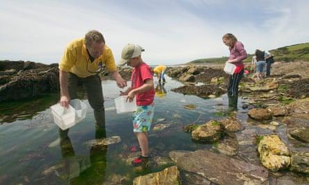 A rockpool ramble in Wembury, Devon
