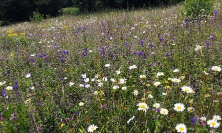 15 of the best easy rural escapes from UK cities