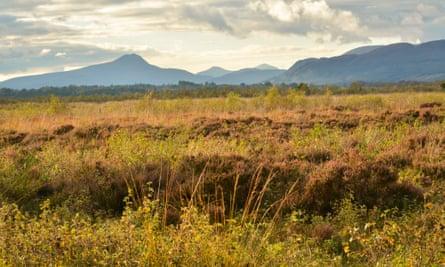 Flanders Moss Nature Reserve Scotland