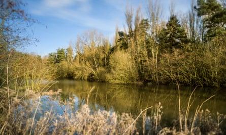 Alder Pool at Ufton Fields Nature Reserve in winter, Warwickshire, England, UK