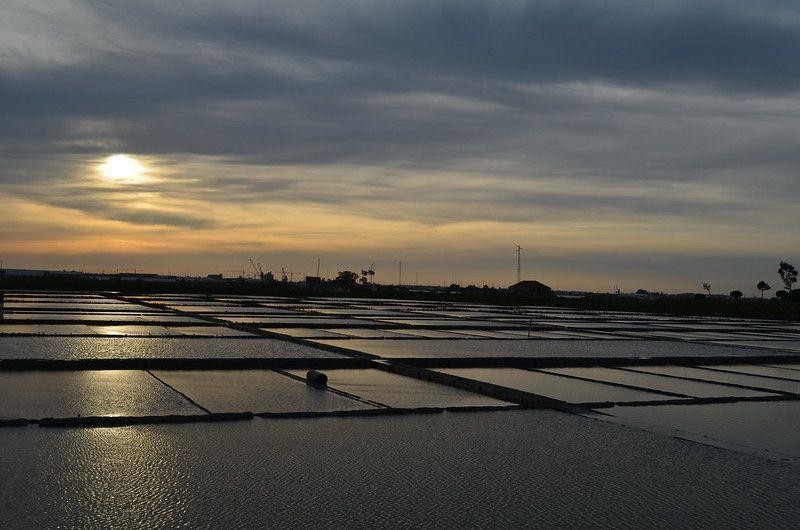 Salinas de Aveiro