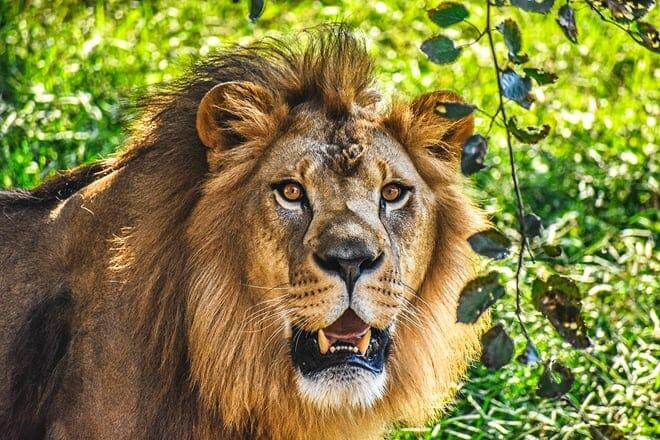 12 Fun Things to Do in Norfolk with Kids (for 2023)