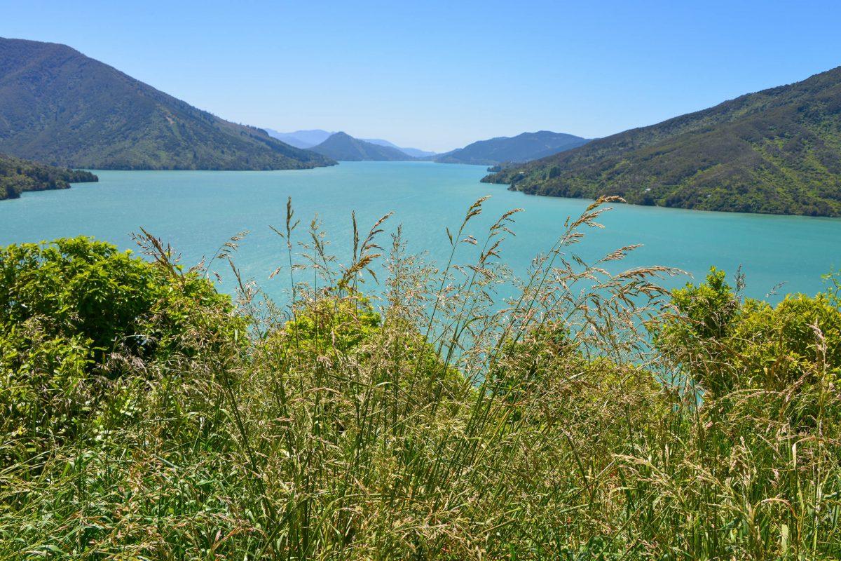 The islands and inlets of the Marlborough Sounds in the north of the South Island are among the most fascinating landscapes in New Zealand - © FRASHO / franks-travelbox
