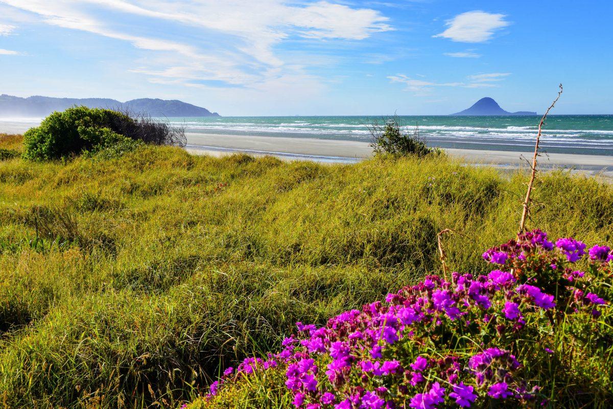  Ohope Beach, with romantic sunsets and idyllic scenery, is the perfect place for a beach vacation on the North Island of New Zealand - © FRASHO / franks-travelbox