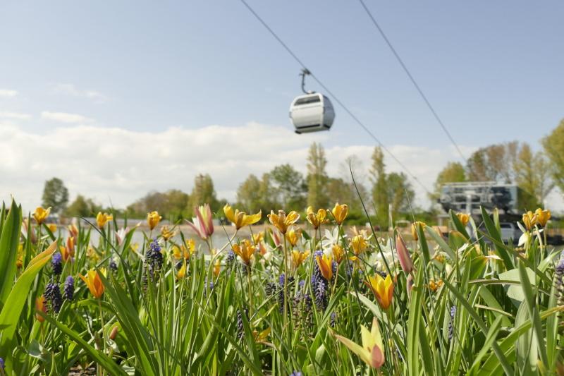Almere Floriade kabelbaan