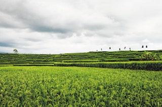 The best beaches, villages and hotels in Bali